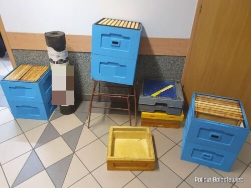 skradzione ule, kpp bolesławiec, recydywa