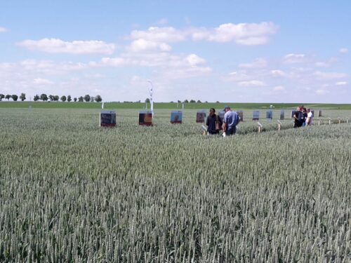 płatności dla rolników, kampania wniosków, krir, doradcy rolniczy, doradztwo rolnicze