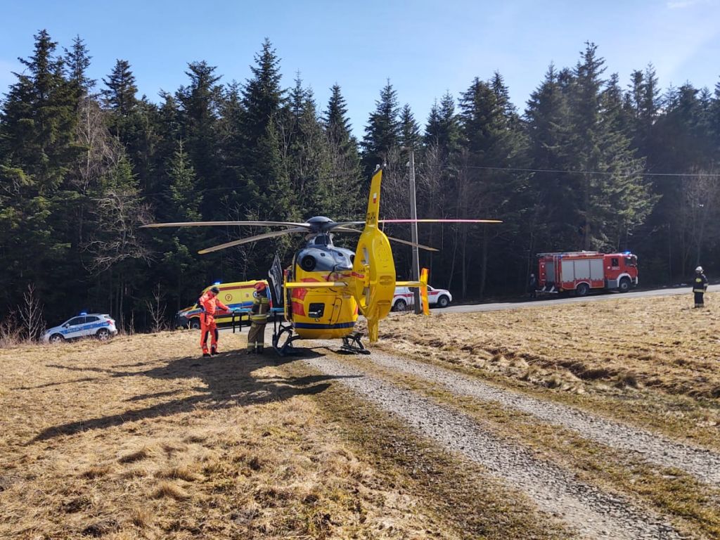 km psp nowy sącz, wypadek w lesie, uderzony przez konar, wycinka drzew