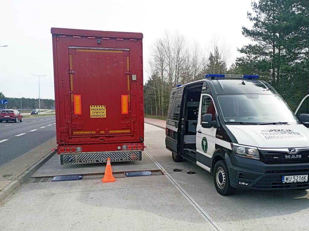 itd, witd bydgoszcz, przewóz bydła, ważenie pojazdów