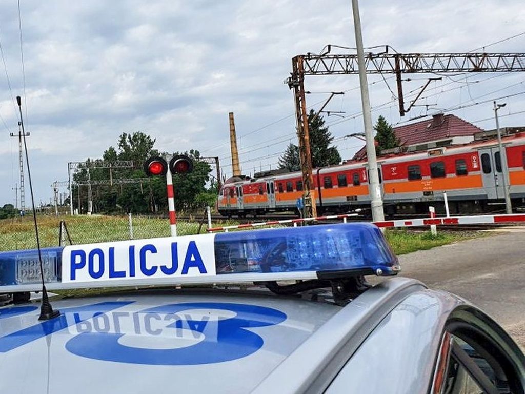kpp nisko, pociąg, przejazd kolejowy, krowy