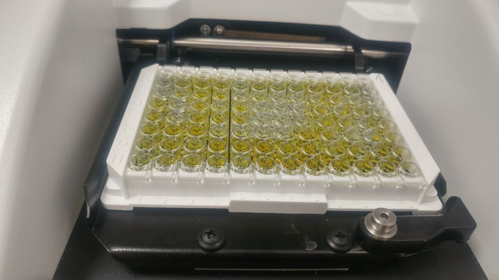 PAG, testy PAG, Idexx, glikoproteiny ciążowe, mleko, próbki mleka, ciąża krów, badanie mleka, PFHBiPM, białko, zarodek