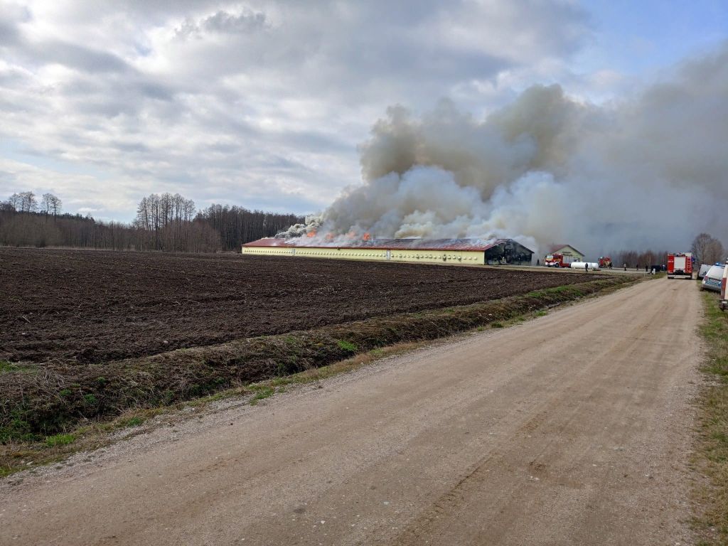 km psp białystok, pożar kurnika, podlasie, kurnik w ogniu