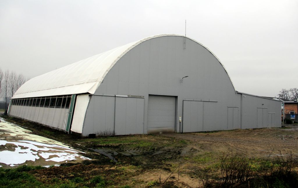 produkcja serów, twarogów, przetwory mleczne, mleko, bydło mleczne, hala łukowa, robot udojowy