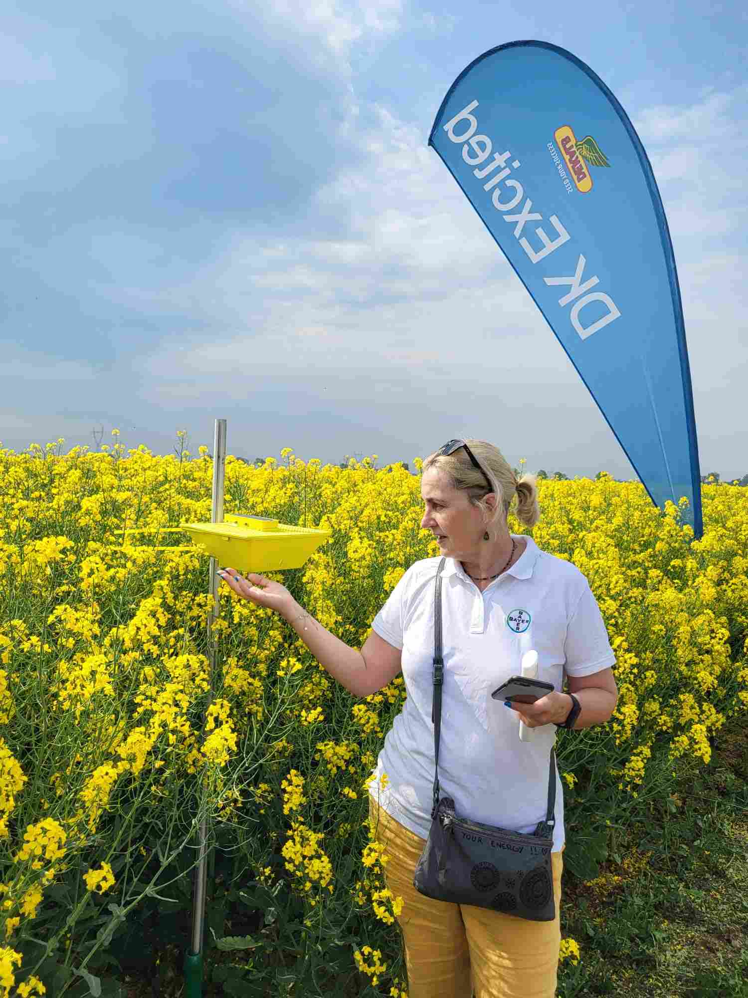 bayer, sławkowo