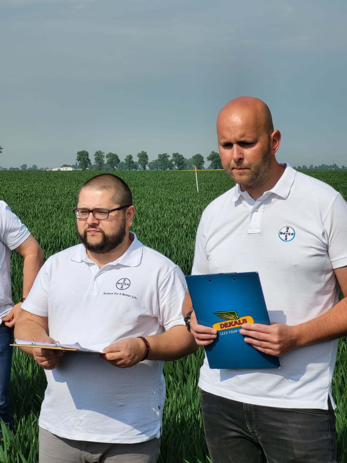 bayer, sławkowo