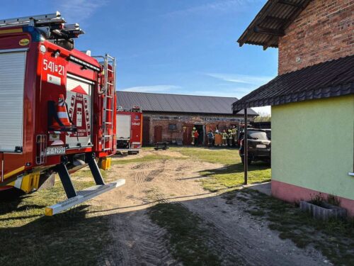 koń, psp ostrzeszów, uwięziony koń, osp