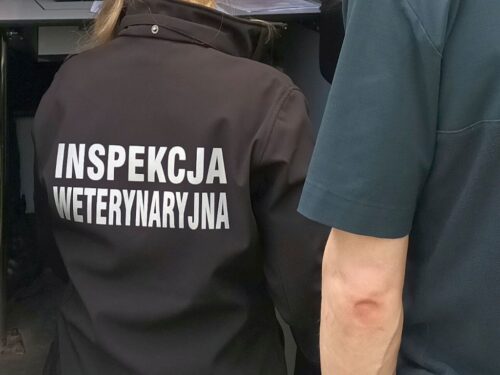 asf, bioasekuracja, anna gembicka, kontrole, inspekcja weterynaryjna