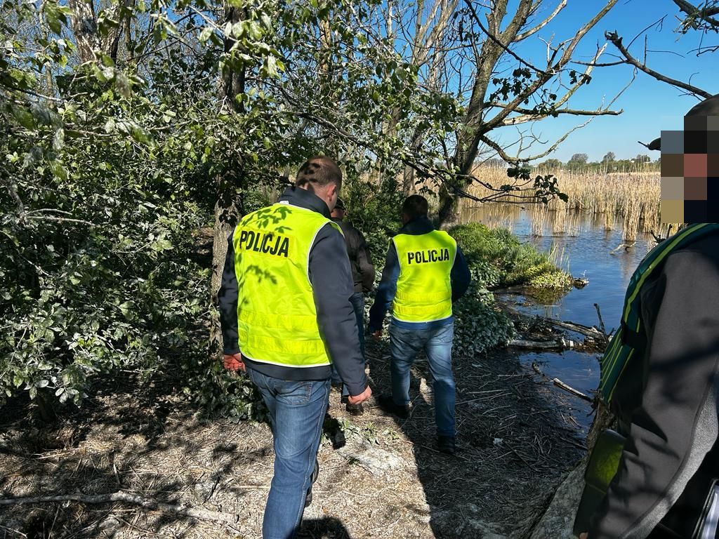 kpp żnin, jezioro tonowskie, kormorany, pisklęta, gniazda