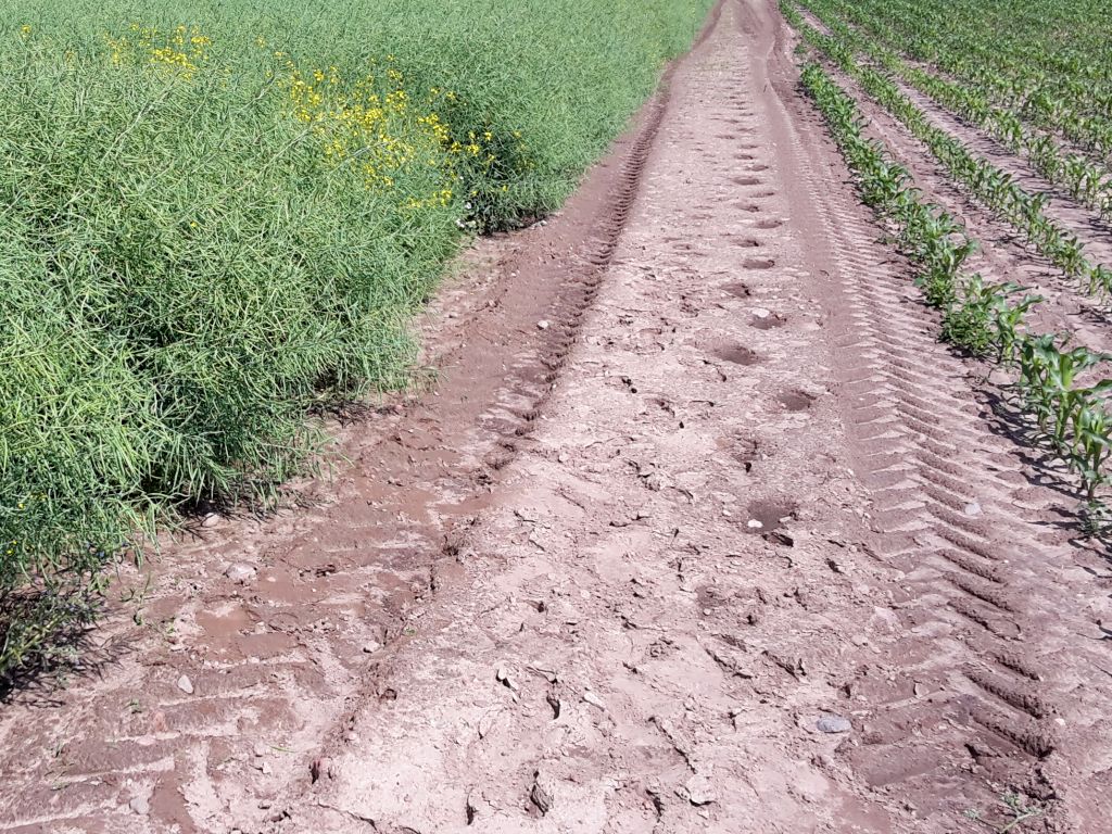 ue, komisja europejska, ukraina, produkty z ukrainy
