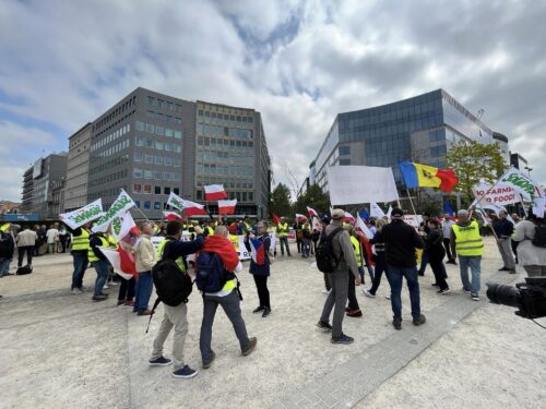 protest, bruksela, ukraina, handel, wpr