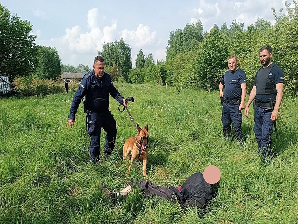 kpp przysucha, widły, atak, konflikt, pies policyjny