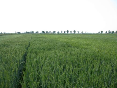 ke, komisja europejska, pomoc, ukraina