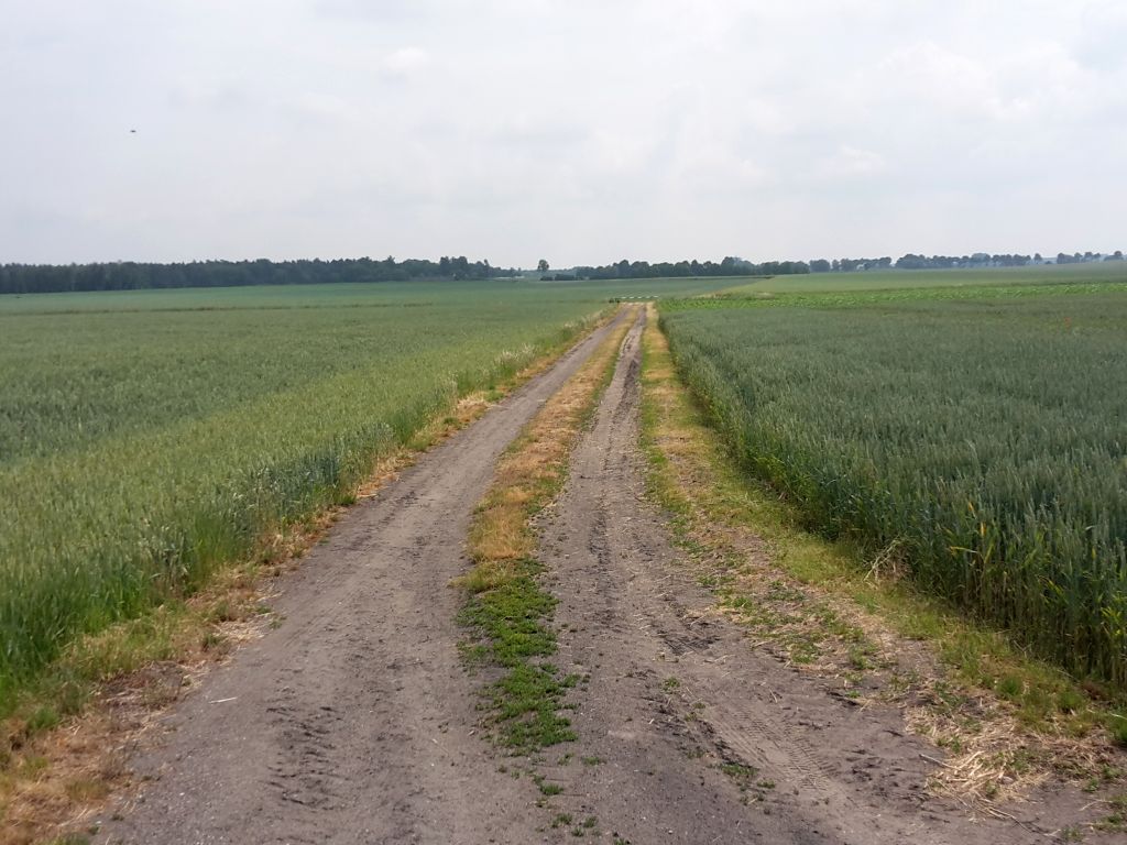 nowelizacja rozporządzenia, prow, scalanie gruntów, beneficjenci