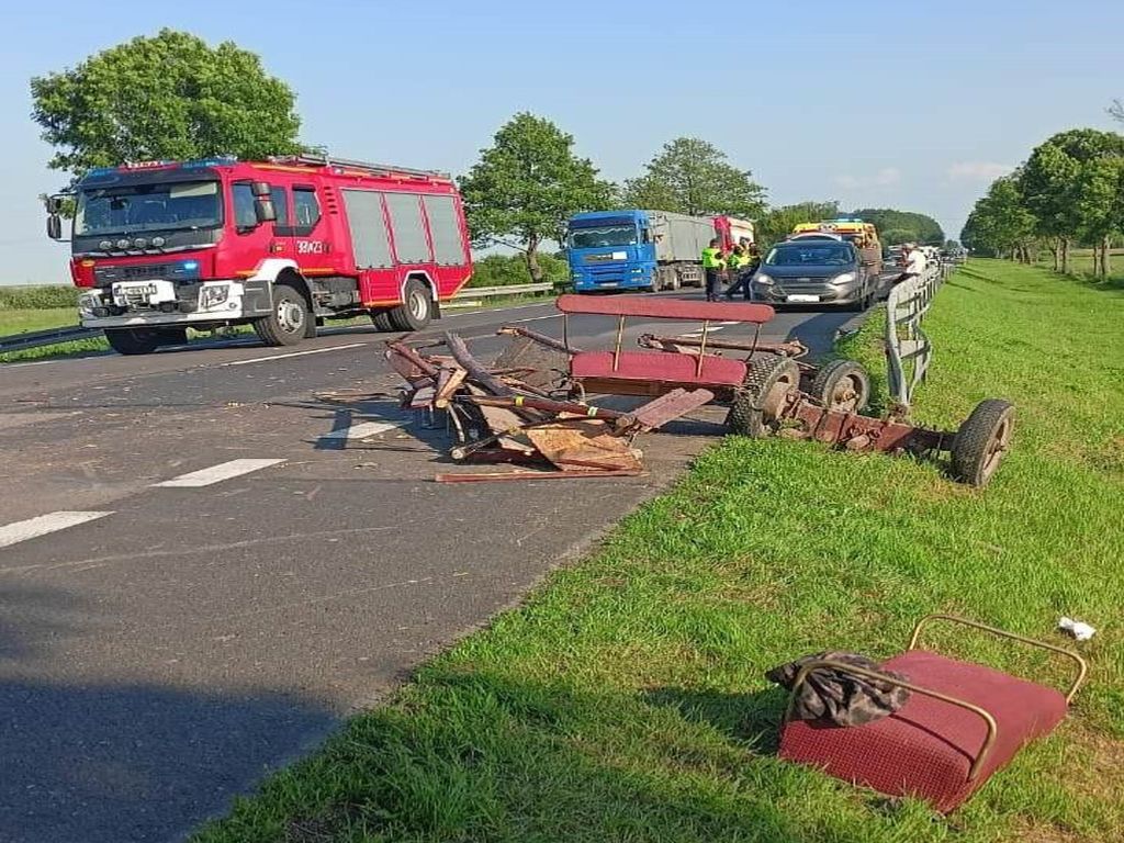 kmp zamość, km psp zamośc, wypadek, zaprzęg, furmanka, woźnica, zderzenie