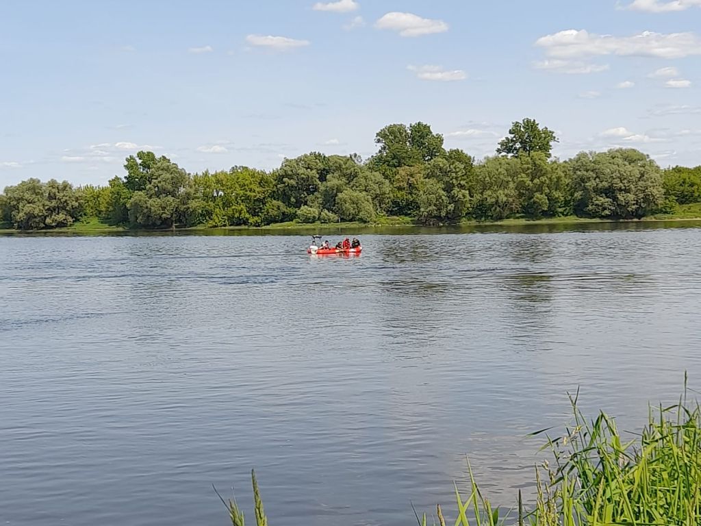 krowa, wisła, woda, akcja ratunkowa, osp złotoria, wopr