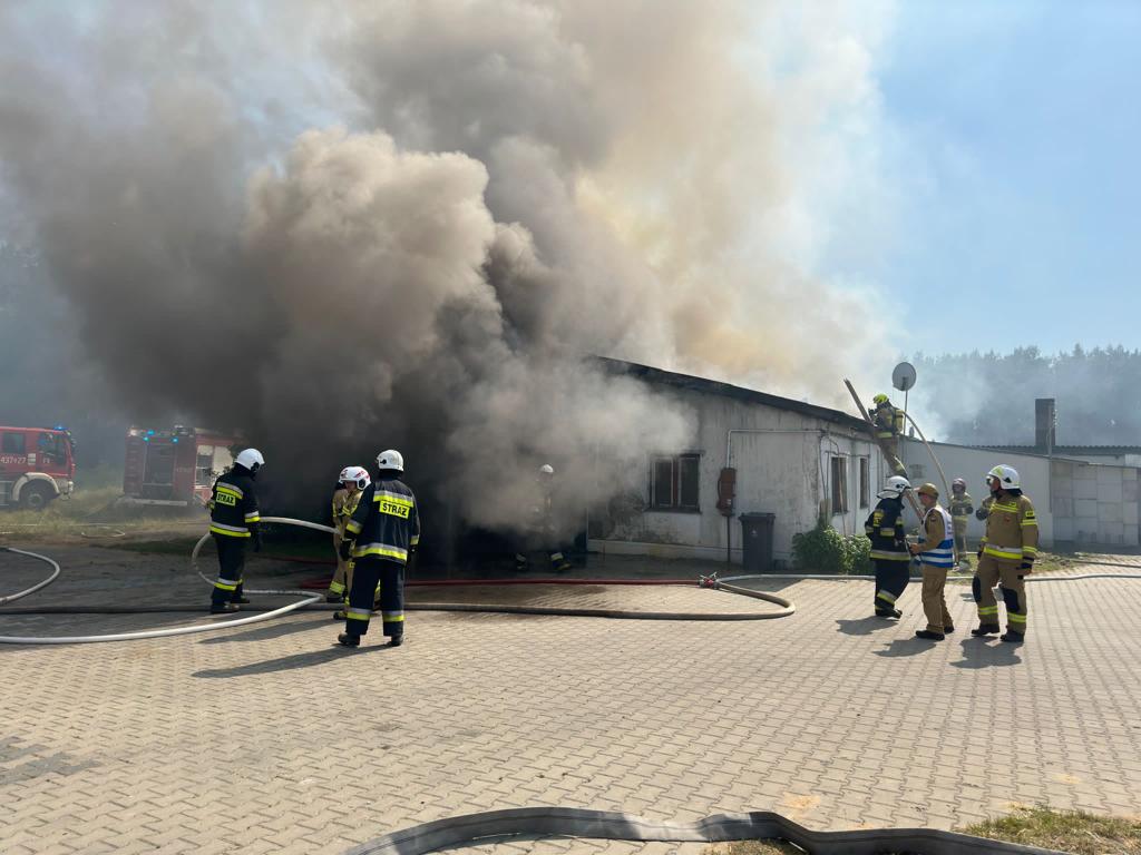 pożar, gospodarstwa, kurnik, chlewnia, zwierzęta