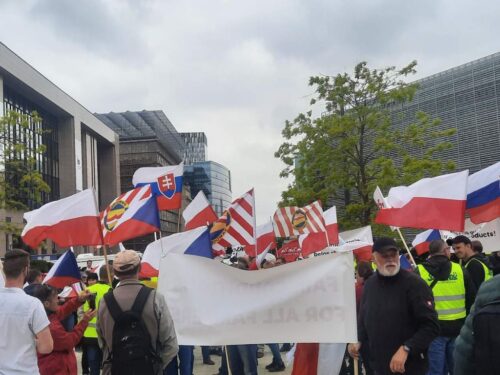 rosja, parlament europejski, bruksela, solidarności ri, samoobrona, protest