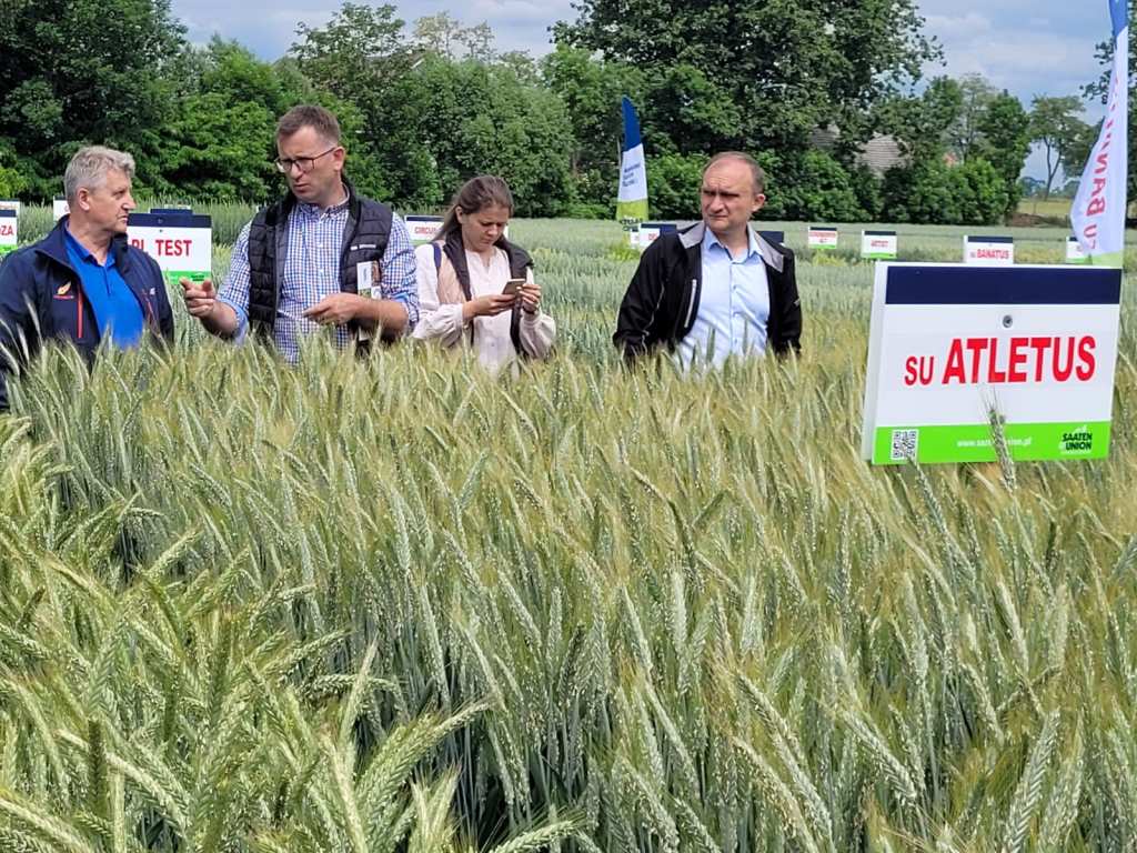 Saaten Union, DSV, Rapool, warsztaty polowe, Spytkówki