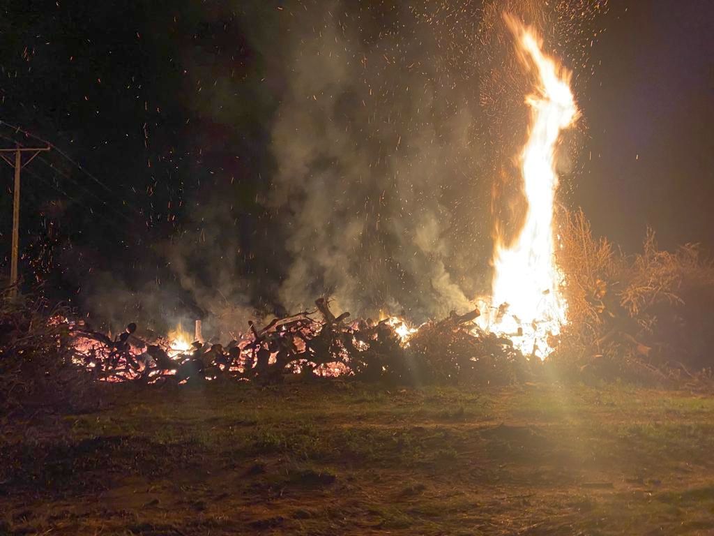 kp psp sandomierz, pożar, sad, drzewa owocowe, drewno