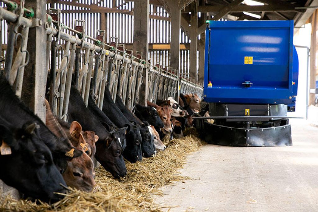 OptiWagon, DeLaval, pasza, żywienie krów mlecznych, krowy mleczne, TMR, zadawanie paszy, mieszanka, wóz paszowy