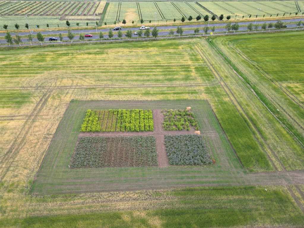 plantacje nasienne, ocena, piorin, wiorin poznań, drony, bezzałogowe statki powietrzne