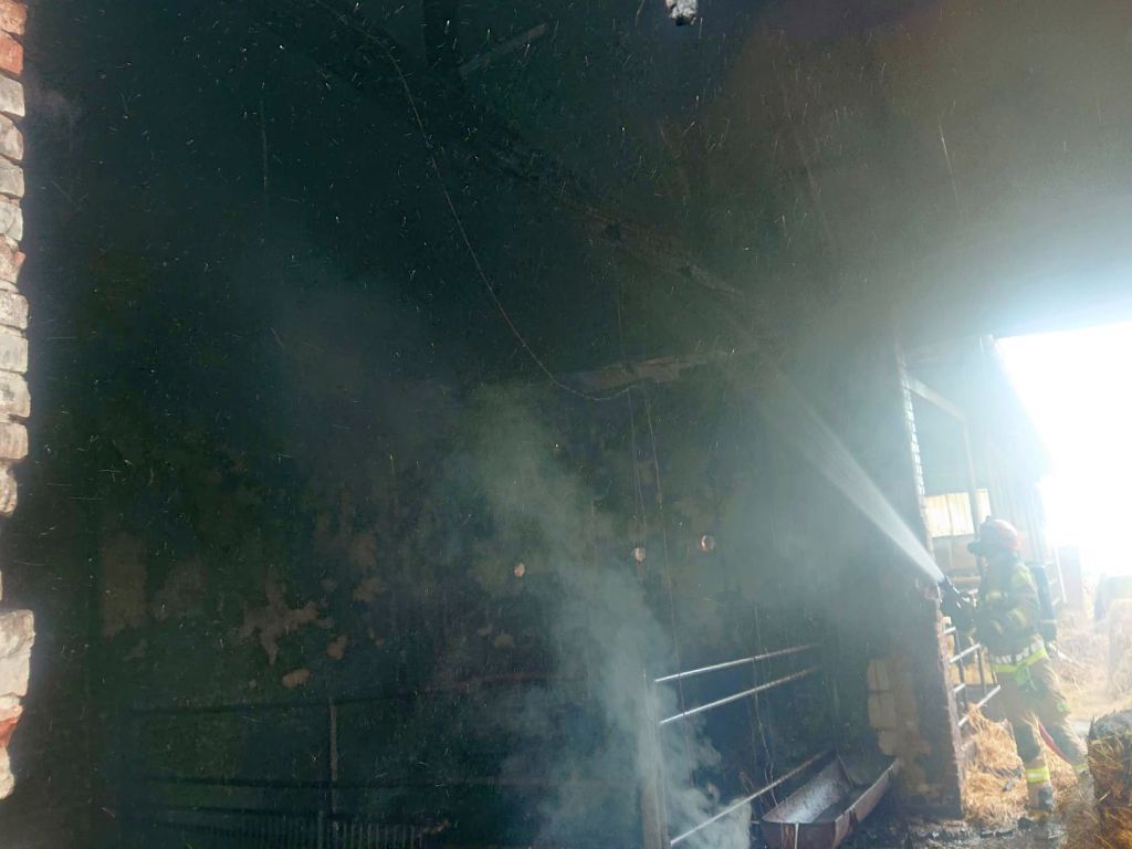 kp psp grodzisk wielkopolski, pożar, gospodarstwo, bydło, kurczaki, straty