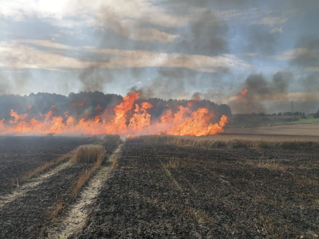 kp psp braniewo, pożar, ogień, prasa rolnicza, ściernisko, zboże