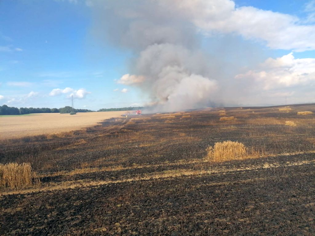 kp psp braniewo, pożar, ogień, prasa rolnicza, ściernisko, zboże