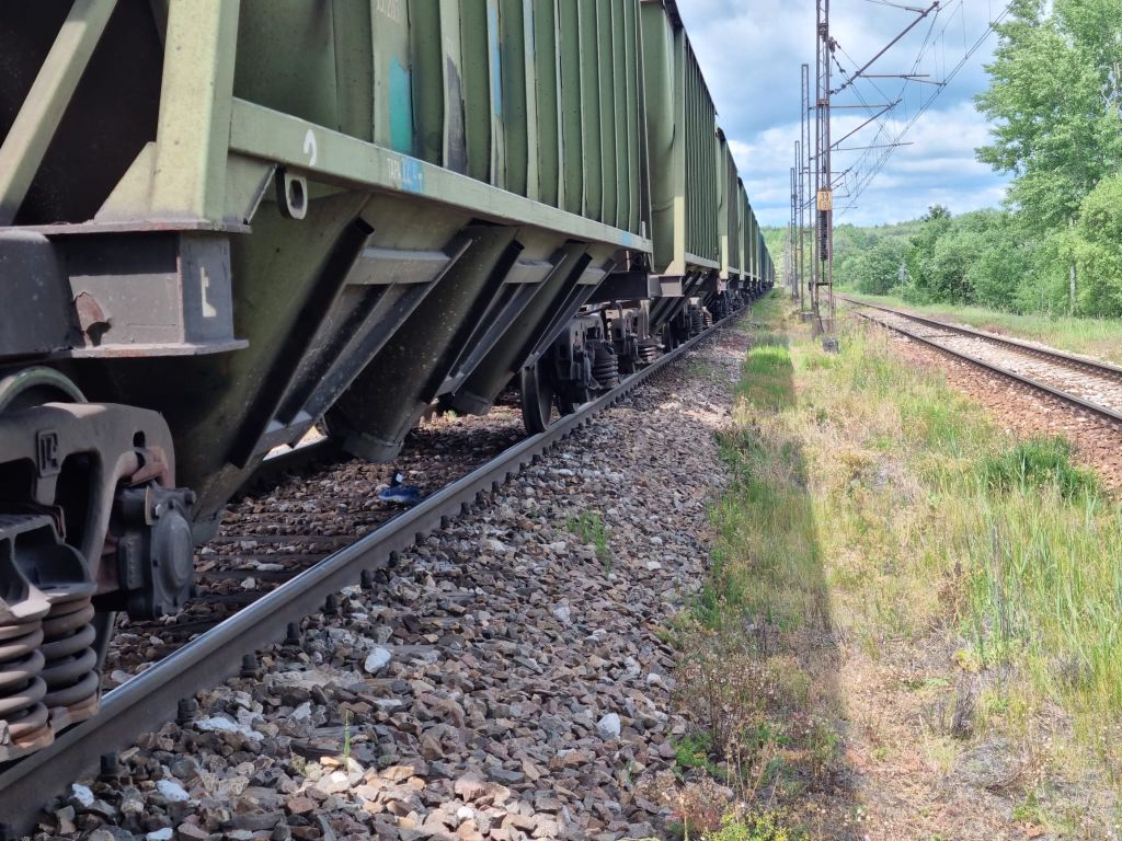 łotwa, polska, ukraina, kolej, transport, zboże, porty