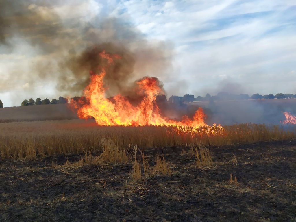 kw psp olsztyn, pożary, zboże, rżysko, maszyny, strażacy