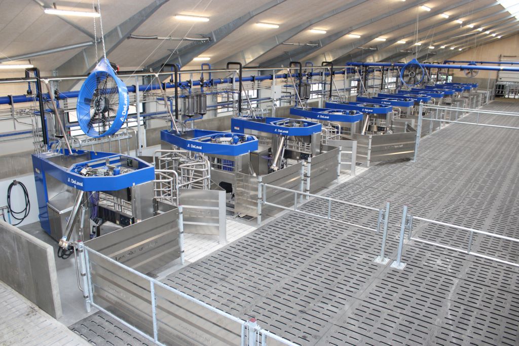 DeLaval, VMS, DeLaval VMS™ V310, roobty udojowe, krowy mleczne, automatyzacja doju, hodowca bydła, dój krów, ferma