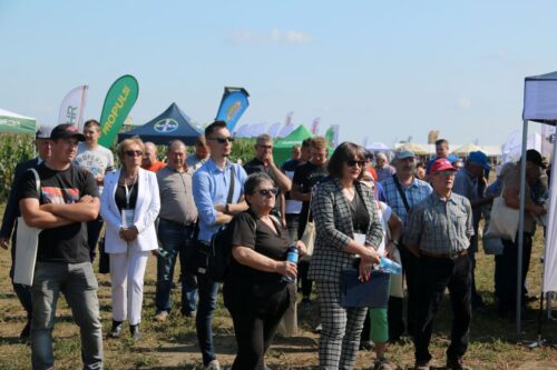 Krajowy Dzień Kukurydzy, Garzyn, OHZ Garzyn, kukurydza ziarnowa, kukurydza kiszonkowa, odmiany kukurydzy, maszyny