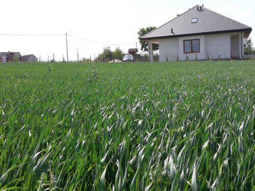 gus, demografia, migracja, wieś, obszary wiejskie, napływowi mieszkańcy, skargi