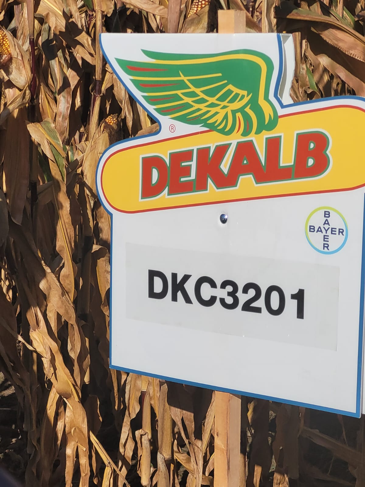 Bayer, Antoine Bernet, Dariusz Szymański, rozwiązanie FieldView, rolnictwo zrównoważone
