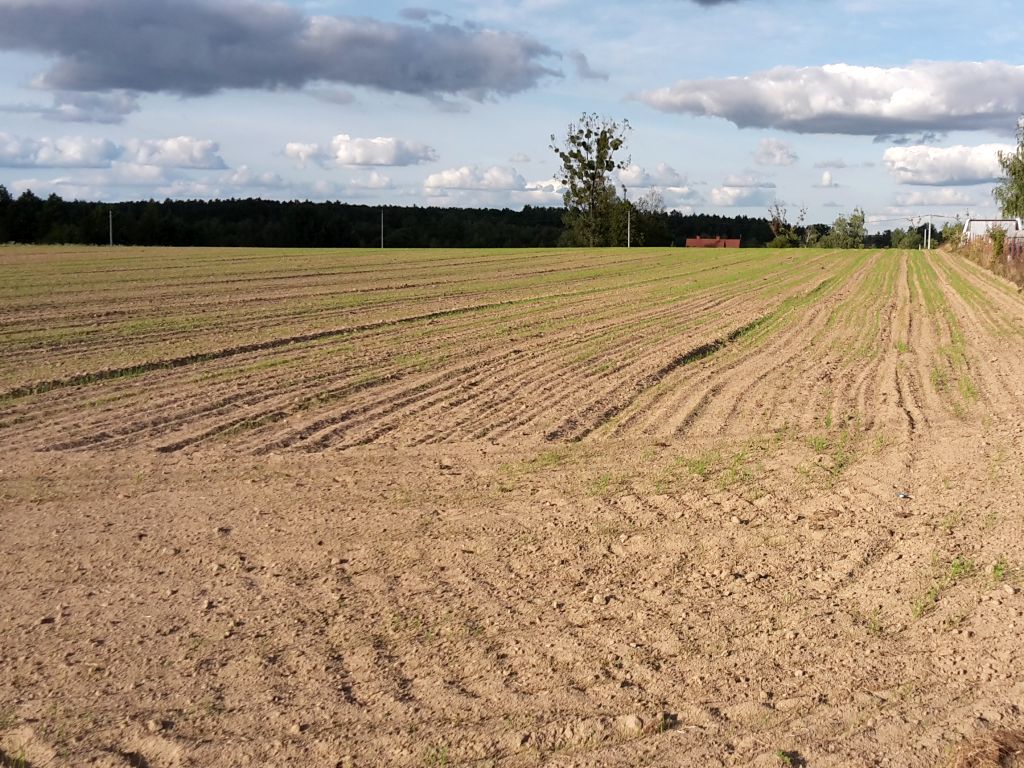 krir, izby rolnicze, samorząd rolniczy, mrirw, resort rolnictwa, ubezpieczenia, uprawy, zwierzęta, dopłaty