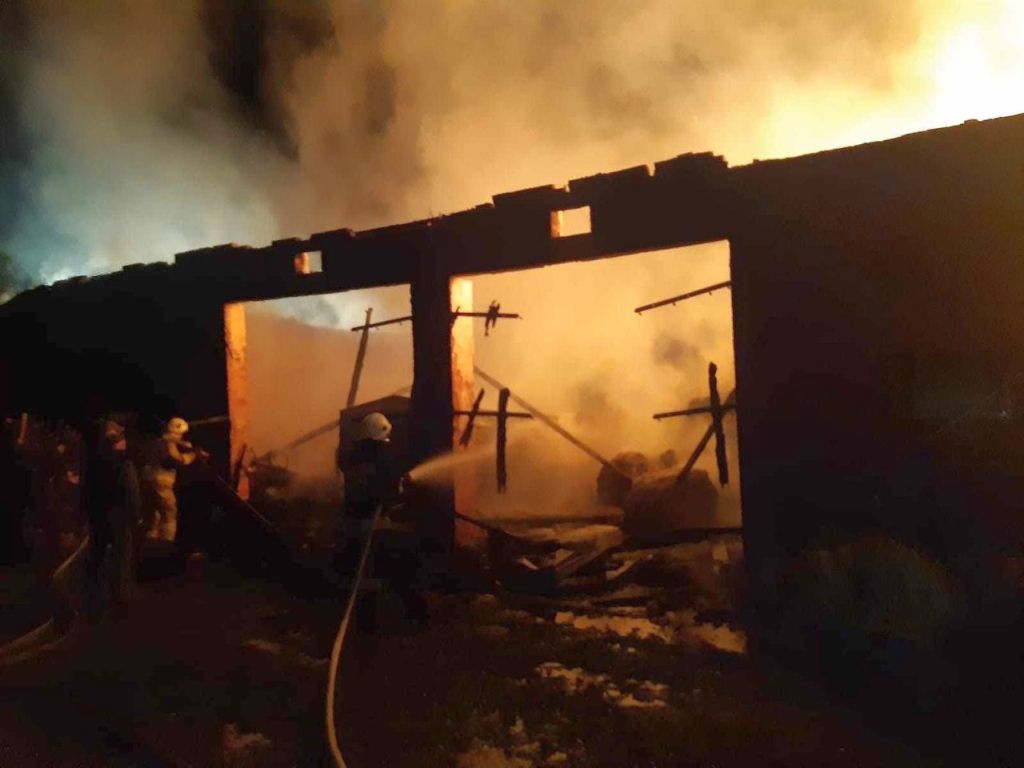 kp psp sieradz, pożar, gospodarstwo, straty, bydło, maszyny, osp