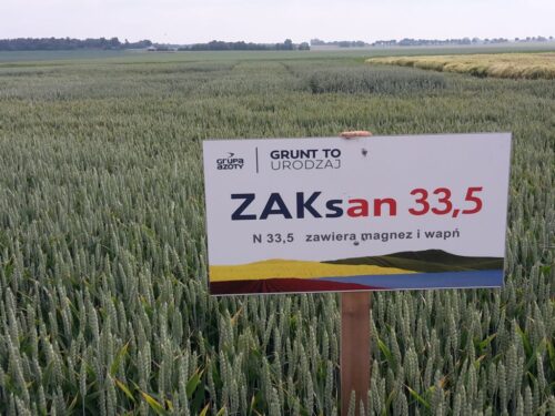 grupa azoty, nawozy, produkcja nawozów, nawozy wieloskładnikowe, mocznik, nawozy azotowe, moce produkcyjne