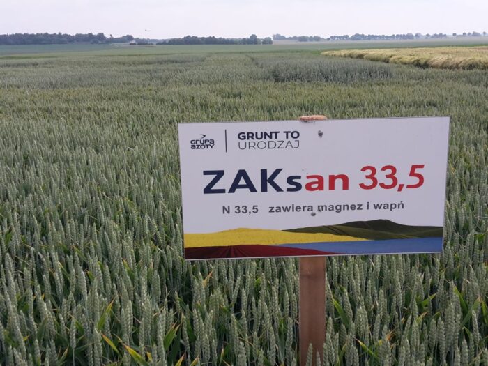 grupa azoty, nawozy, produkcja nawozów, nawozy wieloskładnikowe, mocznik, nawozy azotowe, moce produkcyjne