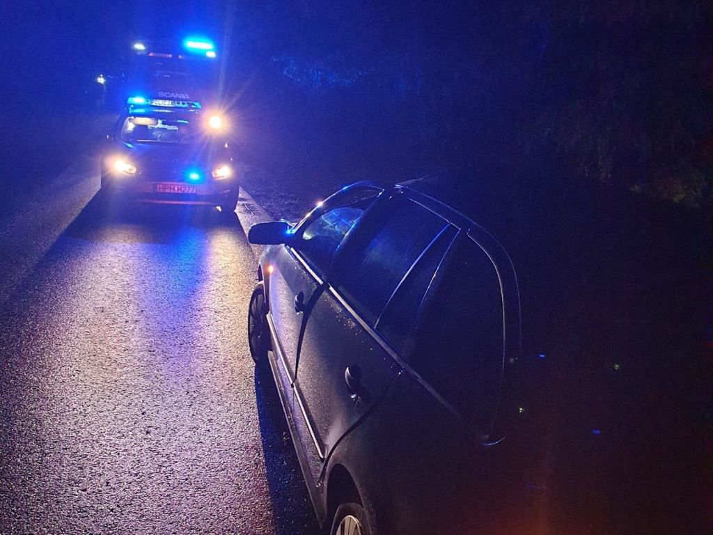policja mazowsze, wypadek, zdarzenie drogowe, zderzenie, auto, dzikie zwierzę, jeleń, łoś