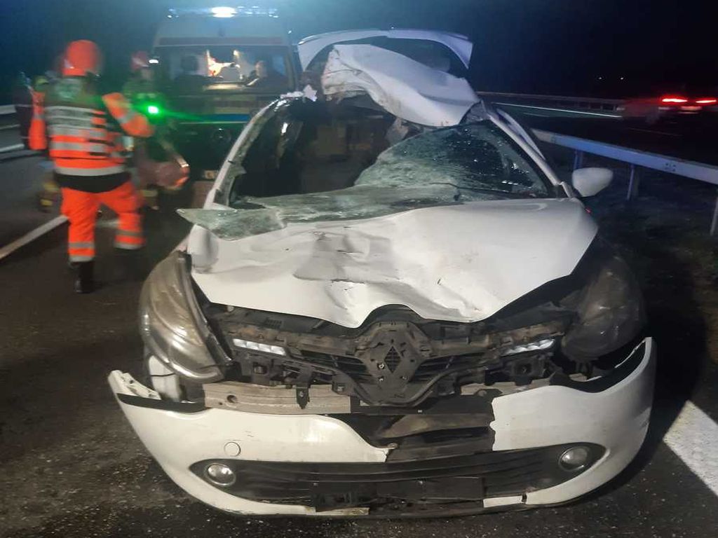 kmp tarnów, wypadek, kolizja, zdarzenie drogowe, auto, osobówka, łoś, zderzenie, autostrada