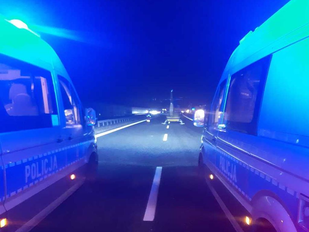kmp tarnów, wypadek, kolizja, zdarzenie drogowe, auto, osobówka, łoś, zderzenie, autostrada