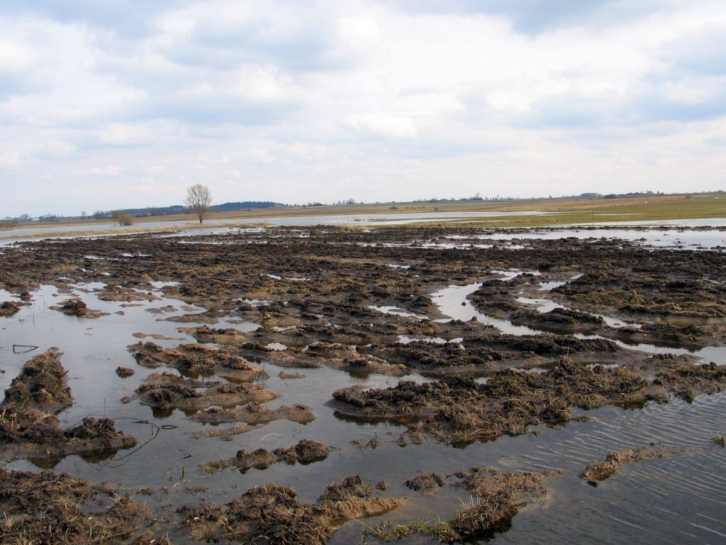 mrirw, resort rolnictwa, ekoschematy, rolnictwo węglowe, warunki pogodowe, wilgoć, praktyki, siła wyższa, pomoc