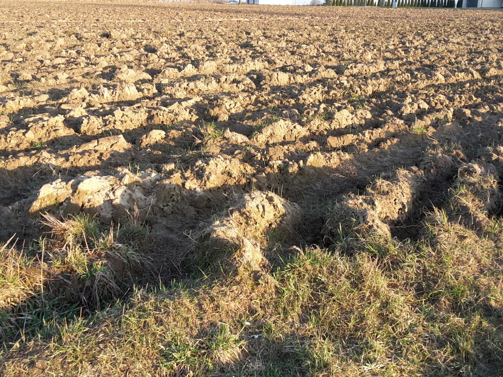 kowr, humięcki, ziemia, grunty, państwowy zasób, sprzedaż, dzierżawa
