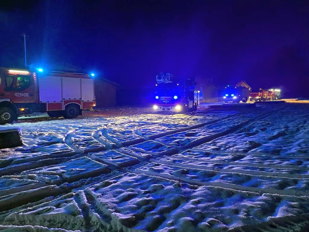 kp psp człuchów, osp, pożar, chlewnia, prosięta