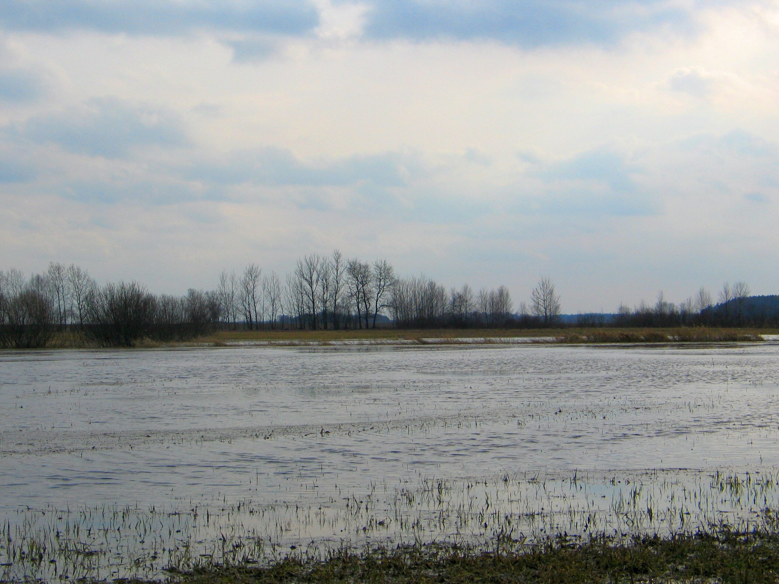 wir, wniosek, interwencja, zalane grunty