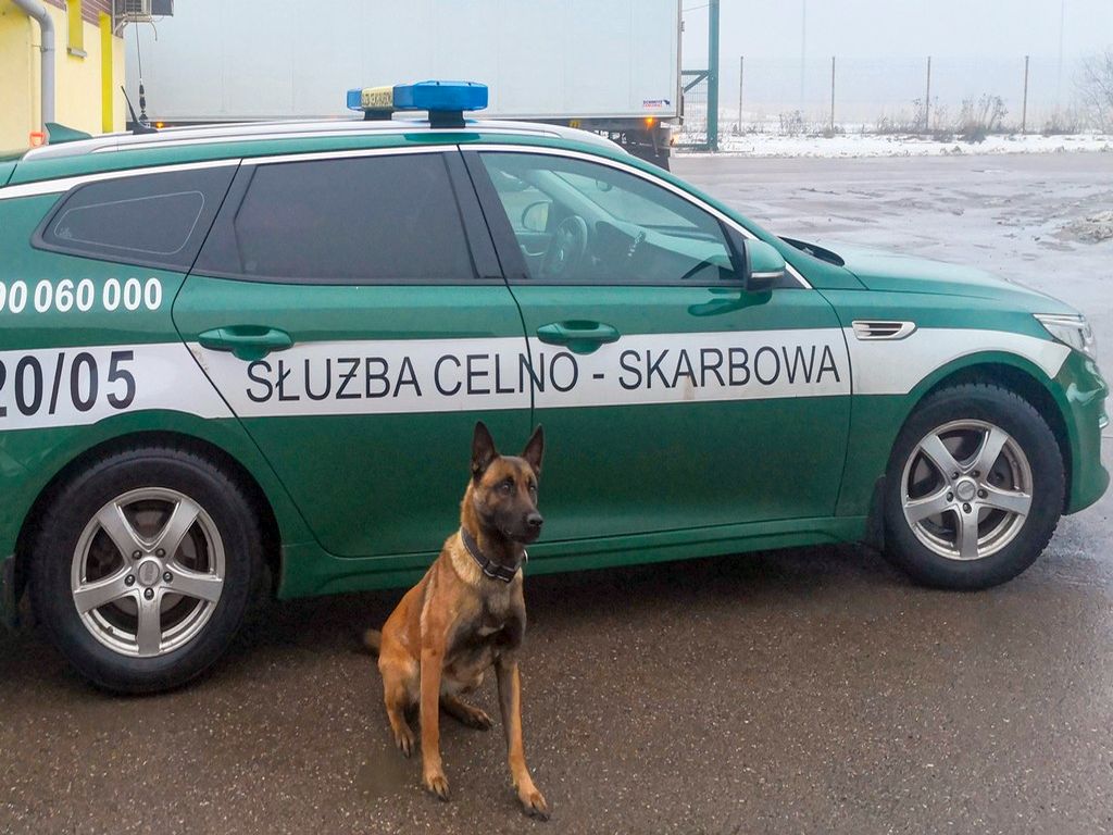 kas, podlaska kas, ciężarówka, rtg, papierosy, kontrabanda, przemyt, torf