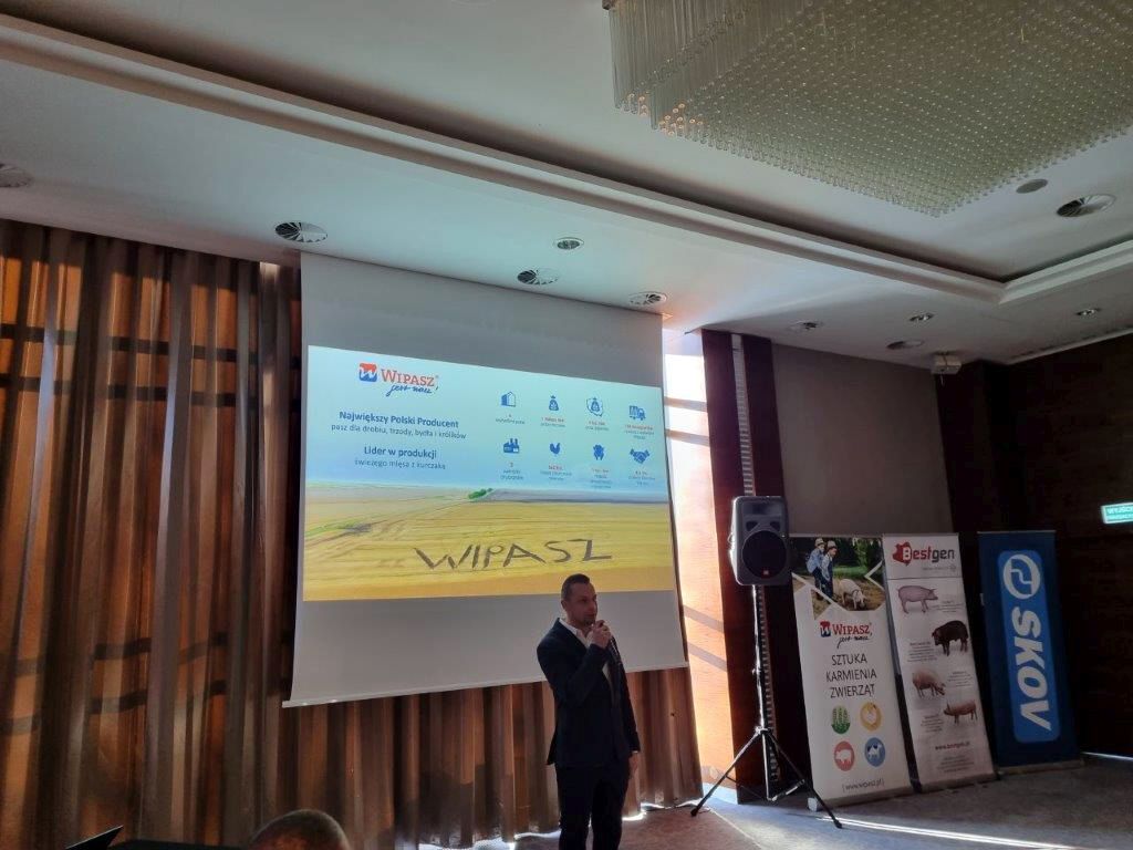 Wipasz, akademia dla producentów prosiąt, prosięta, maciory, lochy, stado podstawowe, pasze, pasze dla świń