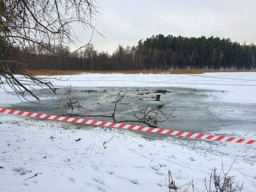 jezioro, lód, tafla lodowa, zwierzęta, konie