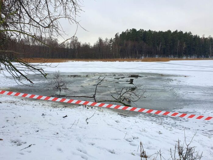 jezioro, lód, tafla lodowa, zwierzęta, konie